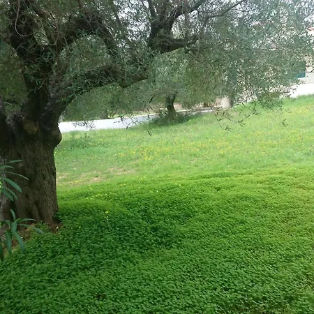 Daire House Elia Nikitis
